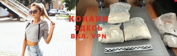 тгк Новодвинск