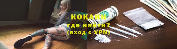 тгк Новодвинск
