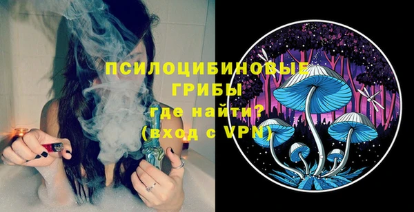 тгк Новодвинск
