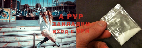 тгк Новодвинск