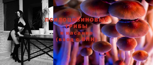 MESCALINE Новозыбков