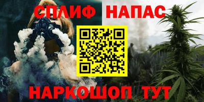 гашик Гай
