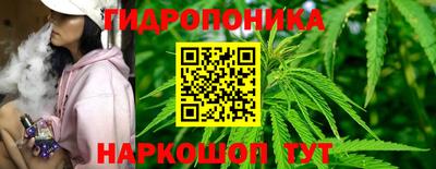 наркотики Гатчина
