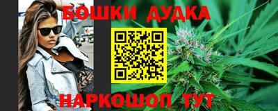 гашик Гай