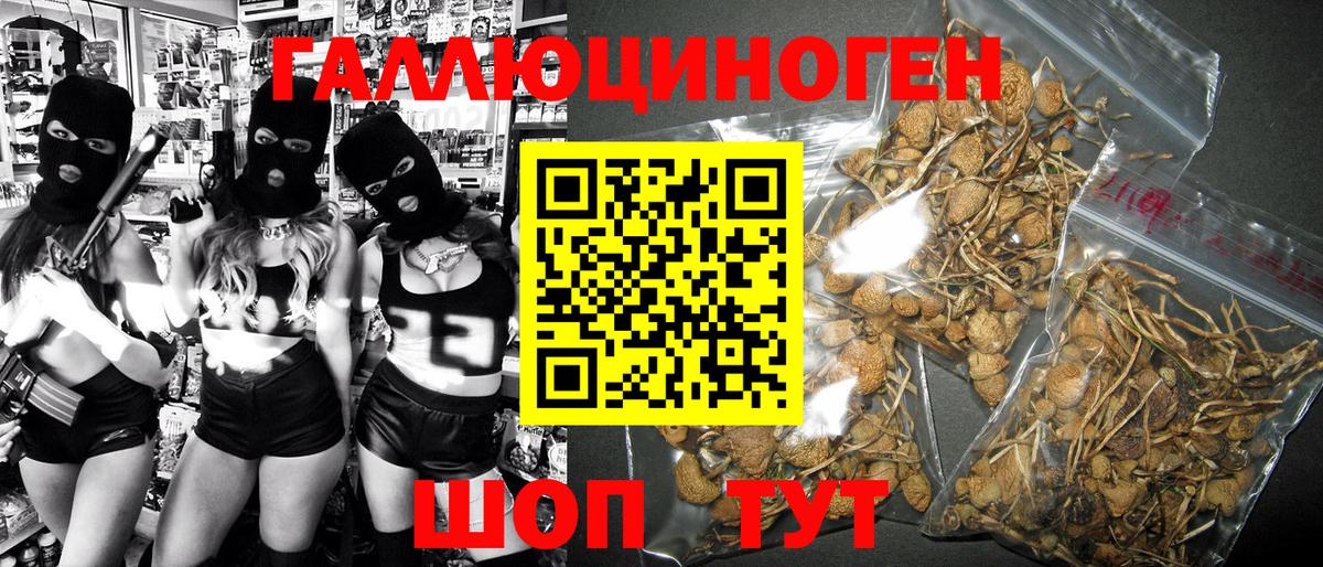 Псилоцибиновые грибы GOLDEN TEACHER  Псилоцибиновые грибы Cubensis  Кинешма 