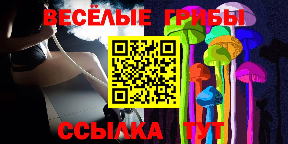 Псилоцибиновые грибы Cubensis Кинешма