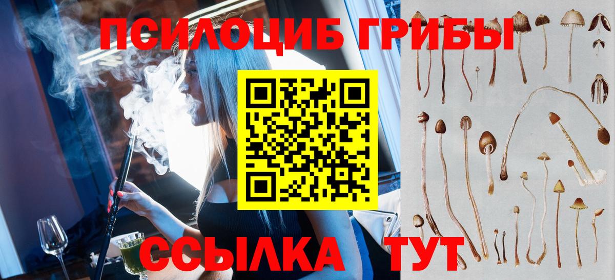 Псилоцибиновые грибы прущие грибы Кинешма