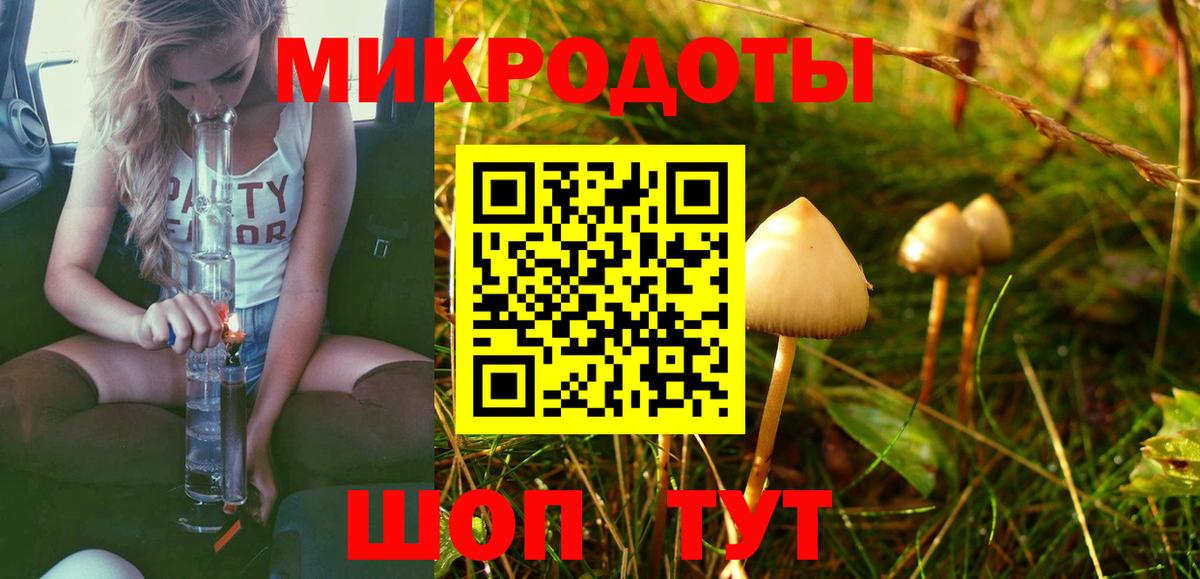 Псилоцибиновые грибы MAGIC MUSHROOMS  Псилоцибиновые грибы Magic Shrooms  Кинешма  Вход с VPN 